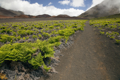 Hawaii, Maui, Haleakala, The hiking trail through the Volcanic Crater. PosterPrint - Item # VARDPI2116466