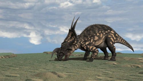 Brown Einiosaurus grazing an open field Poster Print - Item # VARPSTKVA600432P