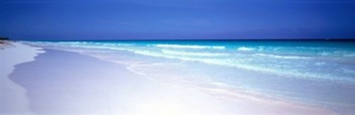 Pink Sand Beach  Bahamas Poster Print by Panoramic Images (37 x 12) - Item # PPI82196
