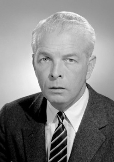 Portrait of serious businessman Poster Print - Item # VARSAL25512352B