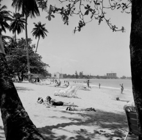Puerto Rico  Isla Verde  People relaxing on beach Poster Print - Item # VARSAL255424217