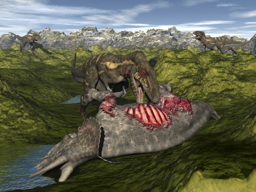 Nanotyrannus eating the carcass of a dead Triceratops Poster Print - Item # VARPSTEDV600229P