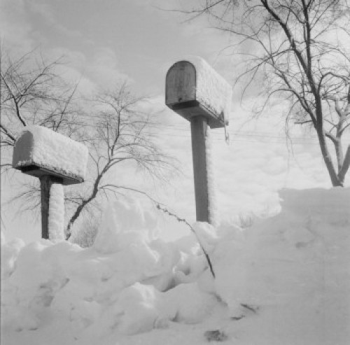 Rural mail boxes in snow Poster Print - Item # VARSAL255423948