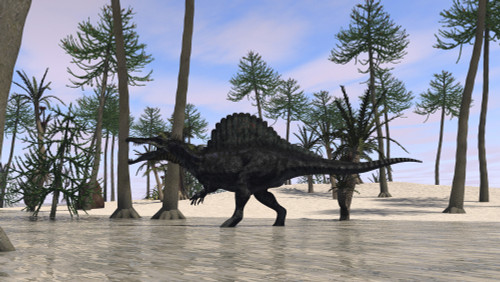 Spinosaurus hunting for its next meal in shallow waters Poster Print - Item # VARPSTKVA600371P
