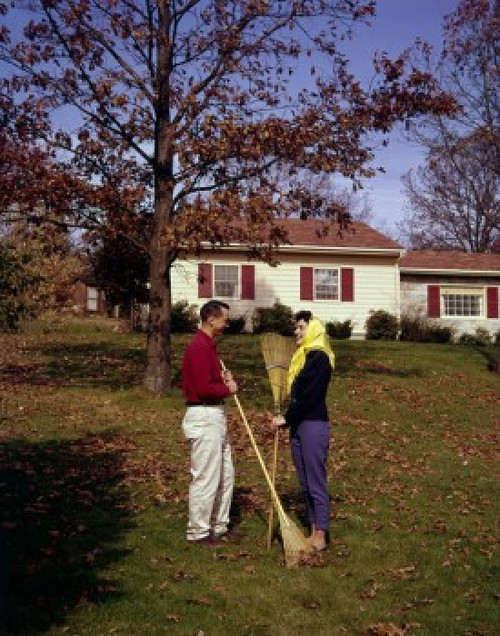 Young couple raking leaves in backyard Poster Print - Item # VARSAL255422644