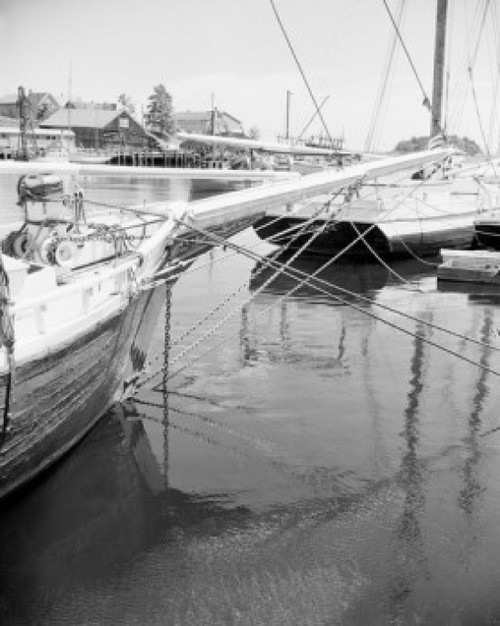 USA  Fishing boats in port Poster Print - Item # VARSAL255424617