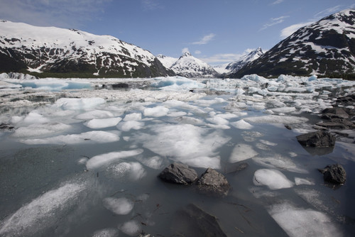 View Of Icebergs In Portage Lake, Southcentral Alaska, Summer PosterPrint - Item # VARDPI2094105