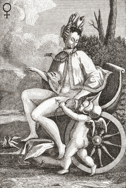 Marie Ang PosterPrint - Item # VARDPI2430601