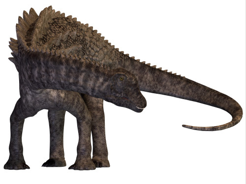 Ampelosaurus was a herbivorous sauropod dinosaur that lived in Europe during the Cretaceous period Poster Print - Item # VARPSTCFR200559P