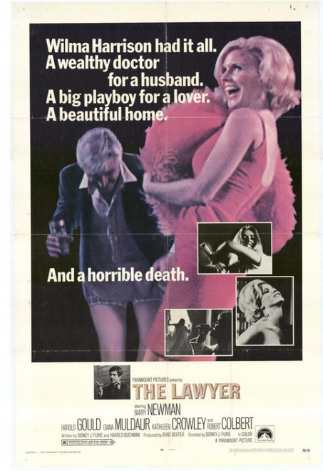 Lawyer Movie Poster Print (27 x 40) - Item # MOVCH7302