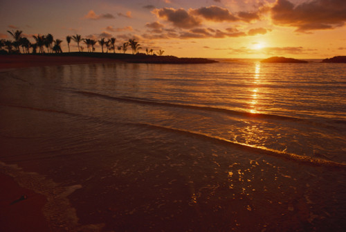 Hawaii, Oahu, Ko'olina Resort, Sunset Over Ocean, Palm Trees. PosterPrint - Item # VARDPI1992731