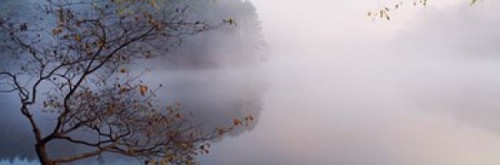 Lake Vesuvius  Wayne National Forest  Ohio  Poster Print by Panoramic Images (37 x 12) - Item # PPI28784