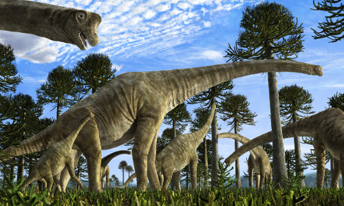 Giraffatitan brancai dinosaurs grazing in a Jurassic environment Poster Print - Item # VARPSTRNG600001P