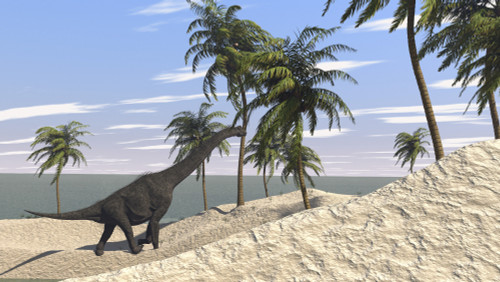 Large Brachiosaurus in a tropical environment Poster Print - Item # VARPSTKVA600016P