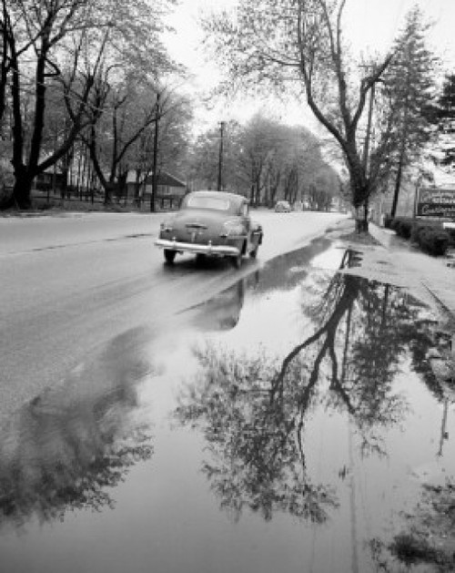 USA  New York  Long Island  Amityville  Rain on Merrick Road Poster Print - Item # VARSAL255423237