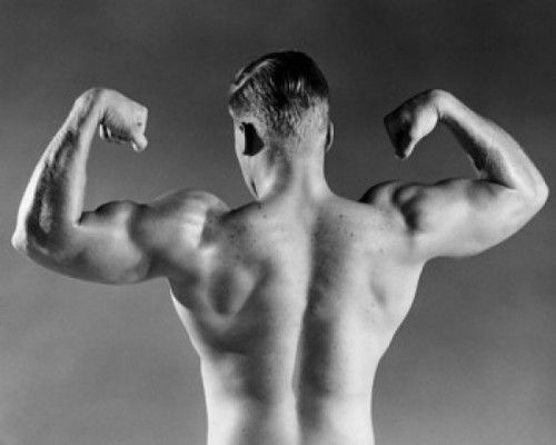 Rear view of a male body builder flexing his muscles Poster Print - Item # VARSAL25522288B