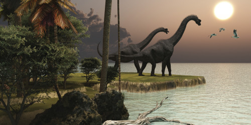 Two Brachiosaurus dinosaurs enjoy a beautiful sunset Poster Print