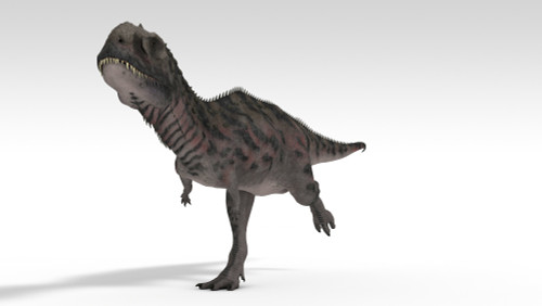 Majungasaurus dinosaur, white background Poster Print - Item # VARPSTKVA600751P