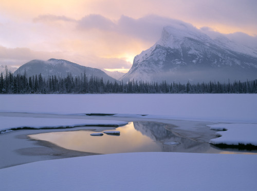 Vermilion Lakes And Mt. Rundle, Banff National Park, Alberta, Canada PosterPrint - Item # VARDPI2029019
