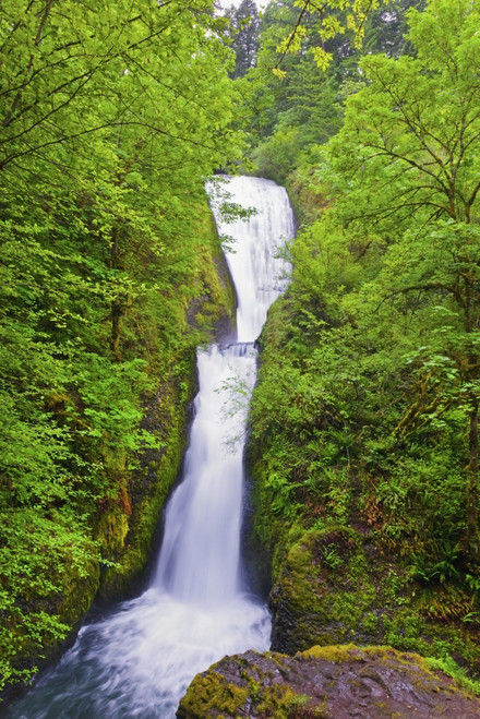 Bridal Veil Falls In Columbia River Gorge National Scenic Area In The Pacific Northwest; Oregon, United States of America PosterPrint - Item # VARDPI1943285