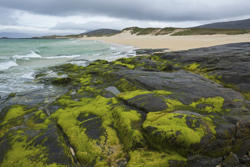 Beach near Northton; Isle of Harris, Outer Hebrides, Scotland PosterPrint - Item # VARDPI2429557