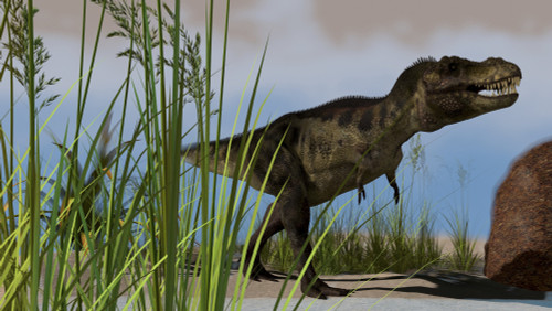 Tyrannosaurus Rex hunting for its next meal Poster Print - Item # VARPSTKVA600225P
