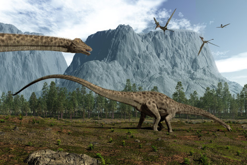 Diplodocus dinosaurs graze while pterodactyls fly overhead Poster Print - Item # VARPSTWMY100189P