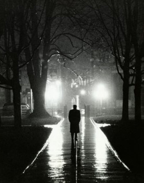 Silhouette of a man walking on a walkway Poster Print - Item # VARSAL25514941