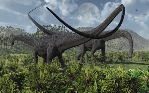 Two giant Diplodocus herbivore dinosaurs grazing during the Jurassic period on Earth Poster Print - Item # VARPSTMAS100251P