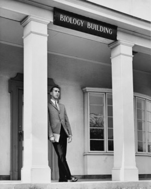 Young man leaning against a column  CW Post College  Long Island University  Brookville  New York City  USA Poster Print - Item # VARSAL25516762