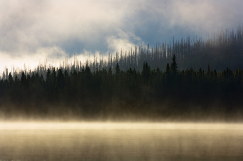 Foggy Mountain Lake At Sunrise PosterPrint - Item # VARDPI1801603