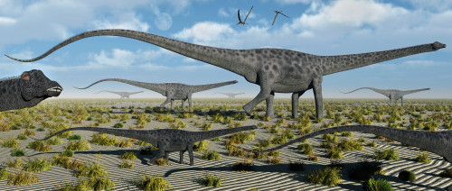 A herd of giant Diplodocus dinosaurs on the move during Earth's Jurassic Period Poster Print - Item # VARPSTMAS100790P
