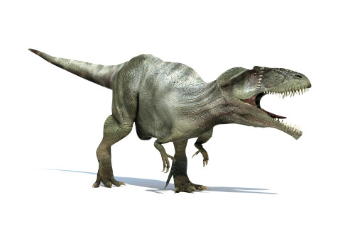 3D rendering of a Giganotosaurus dinosaur Poster Print - Item # VARPSTVET600005P