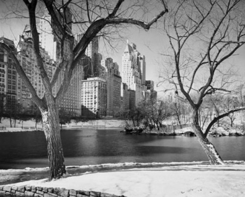 Pond in front of skyscrapers  Central Park  Manhattan  New York City  New York  USA Poster Print - Item # VARSAL25545306