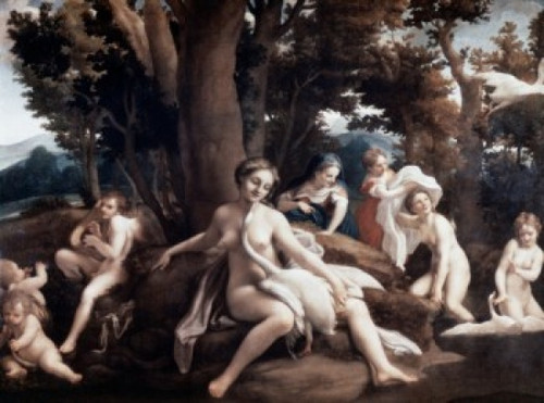 Leda & the Swan  Correggio Poster Print