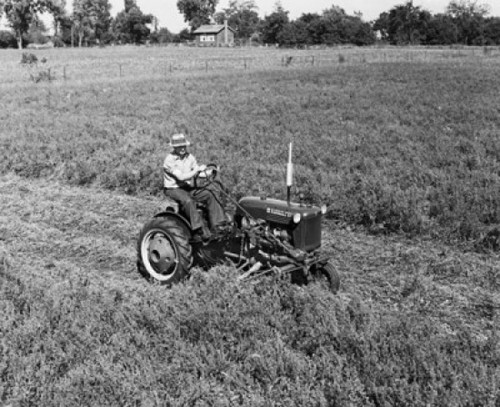 Farmer mowing alfalfa hay in a field Poster Print - Item # VARSAL25530470