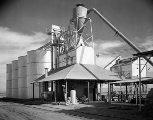 Grain elevator in a field Poster Print - Item # VARSAL25550118