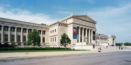 Tourist near a Field Museum, Chicago, Illinois, USA Poster Print - Item # VARPPI155175