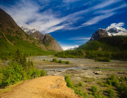 Scenic View Of Eagle River Along The Crow Pass Trail In Chugach State Park, Southcentral Alaska, Summer PosterPrint - Item # VARDPI2160805