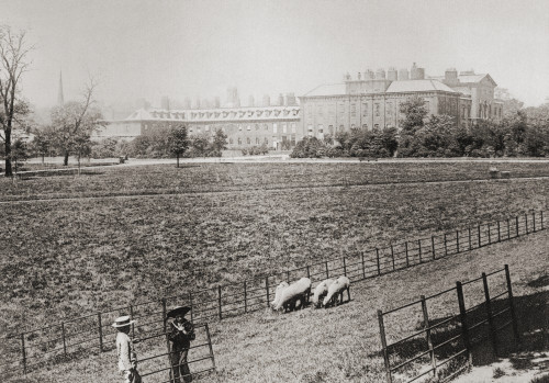 Kensington Palace, Kensington Gardens, London, England In The Late 19Th Century. From London, Historic And Social, Published 1902. PosterPrint - Item # VARDPI2220910