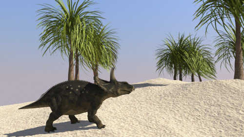Triceratops walking in a tropical environment Poster Print - Item # VARPSTKVA600268P