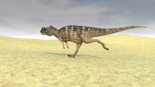 Ceratosaurus running across a barren desert Poster Print - Item # VARPSTKVA600030P