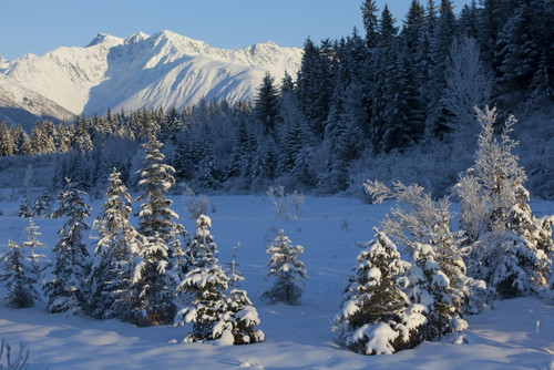 Scenic View Of Chugach Mountains And Snowcovered Landscape, Southcentral Alaska, Winter PosterPrint - Item # VARDPI2150167