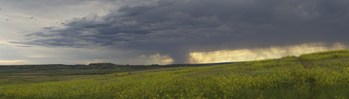Rain from a thunderstorm falls over Grasslands National Park; Saskatchewan, Canada PosterPrint