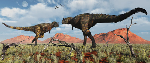 A pair of carnivorous Carnotaurus dinosaurs involved in a territorial dispute Poster Print - Item # VARPSTMAS100792P
