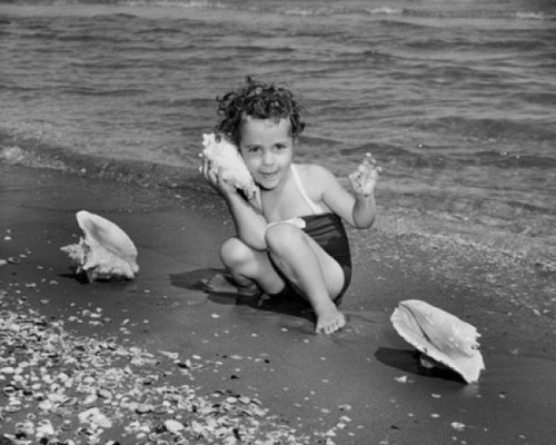 Girl holding a conch shell near her ear on the beach Poster Print - Item # VARSAL2552657
