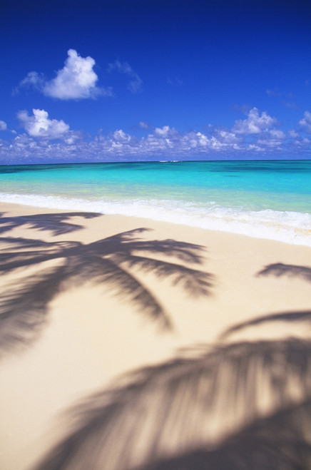 Hawaii, Oahu, Lanikai, Tropical Beach Scene With Palm Shadow On Shoreline Sand PosterPrint - Item # VARDPI1993840
