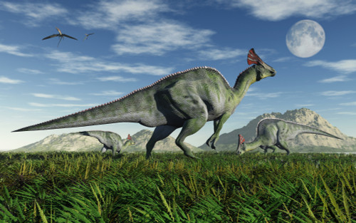 Olorotitan duckbill dinosaurs from the Cretaceous Period, in what is modern day Russia Poster Print - Item # VARPSTMAS100910P