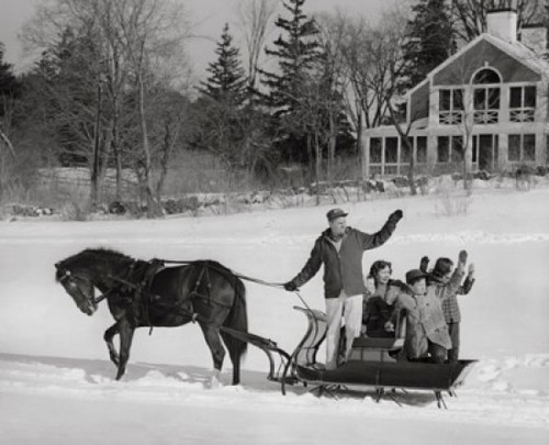 Mature couple with their children riding in a horsedrawn sleigh and waving their hands Poster Print - Item # VARSAL25517130