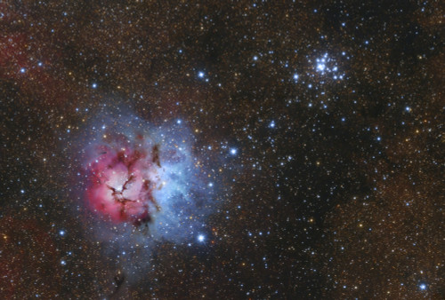 The Trifid Nebula and Messier 21 cluster in Sagittarius Poster Print - Item # VARPSTFEN200018S